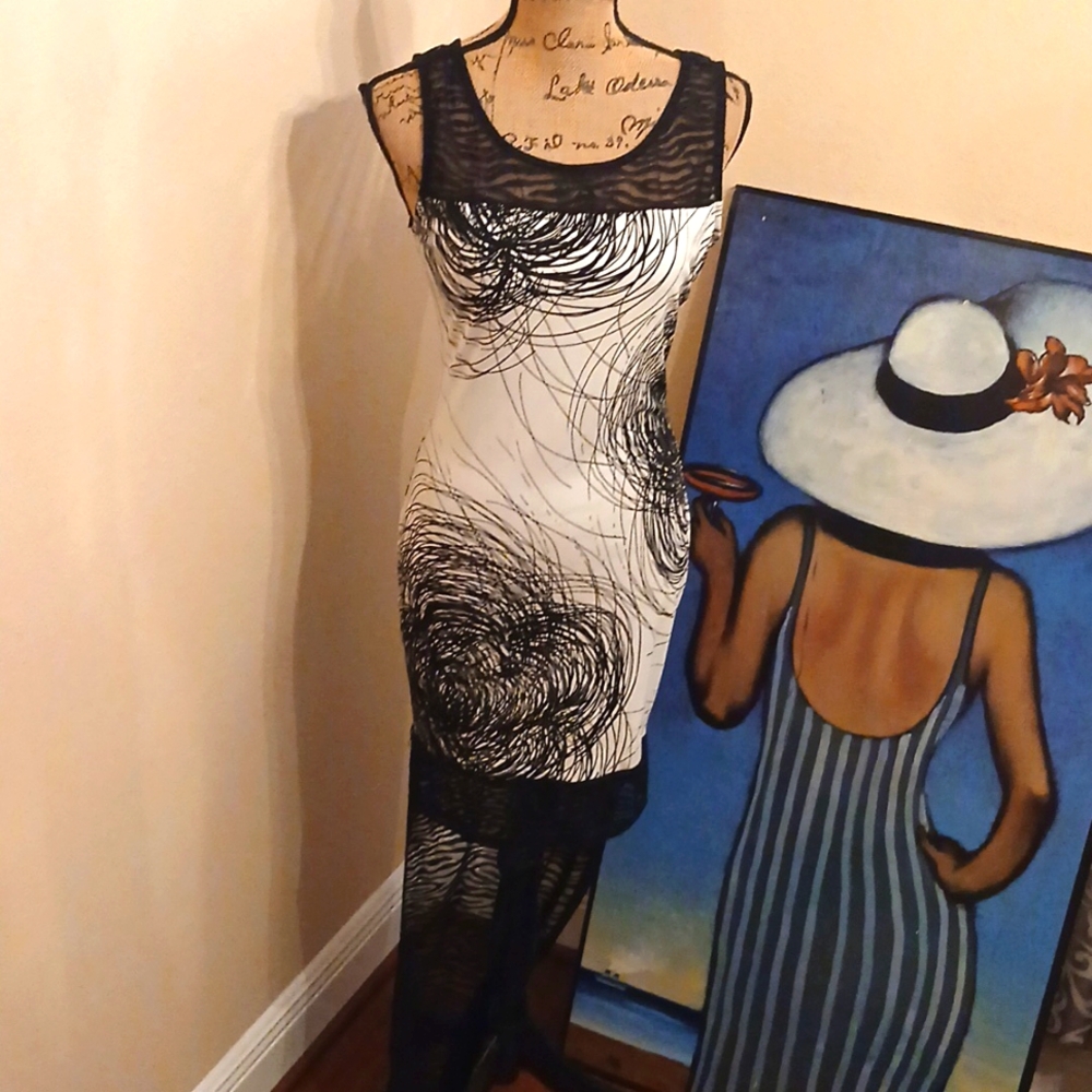 Symphony Swirl Print Lace Hi Lo Dress